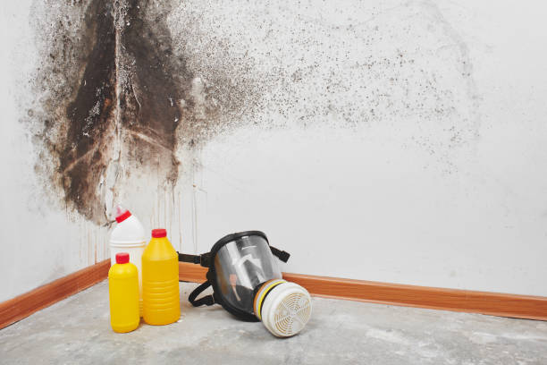 Best Crawl Space Mold Removal  in Westfield Center, OH
